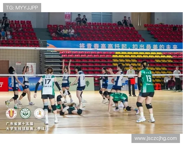 南京排球队在锦标赛中的精彩表现与实力分析