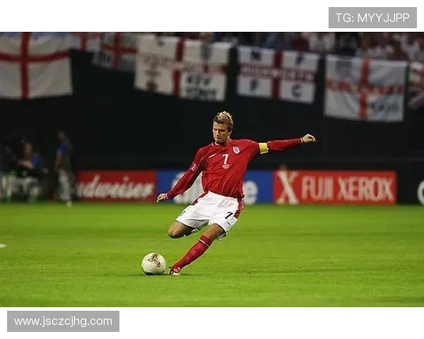 狮子雕刻的传奇足球明星背后的故事与荣耀 狮子雕刻的传奇足球明星背后的故事与荣耀