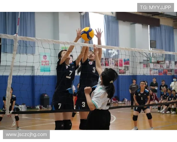 西安排球队在邀请赛中的配合表现分析与点评 西安排球队在邀请赛中的配合表现分析与点评